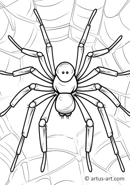 Page de coloriage d'une araignée veuve noire